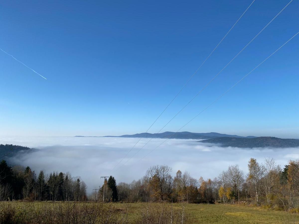 URIGES COZY Apartment MITTEN im BAYERISCHEN WALD + NETFLIX Schöfweg Exterior foto