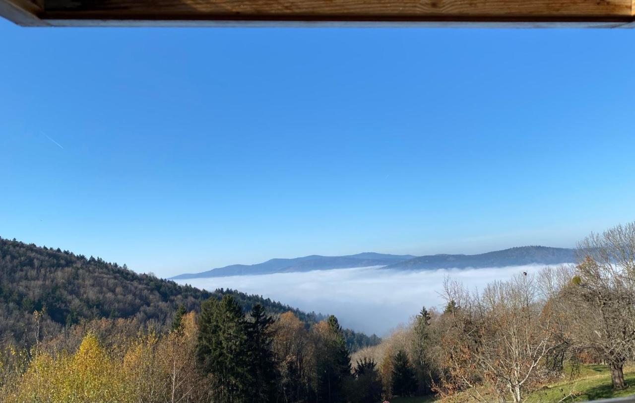 URIGES COZY Apartment MITTEN im BAYERISCHEN WALD + NETFLIX Schöfweg Exterior foto